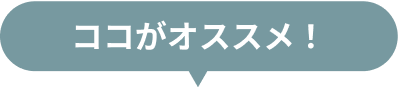 ココがオススメ!